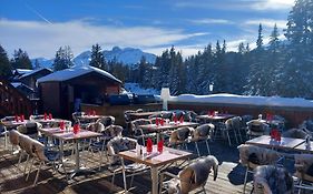 Odalys Hotel New Solarium